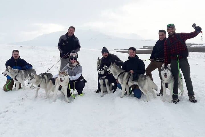 Hiking with Husky in Akureyri (private) 4