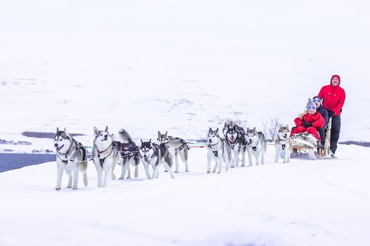 Dog Sledding Tour near Akureyri