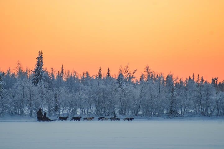 Sunrise Zen Husky Tour (10:00 to 13:00 - sitting on the sled) 4