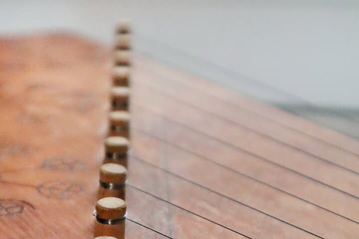 Magical sounds of the Kokle - Learn how to play it 4