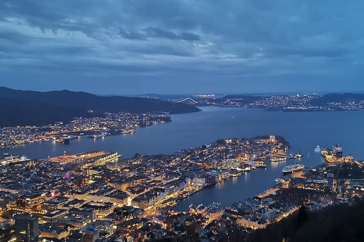 Private Guided Tour of Bergen with Transportation 4