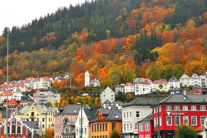 Private Guided Tour of Bergen with Transportation 5