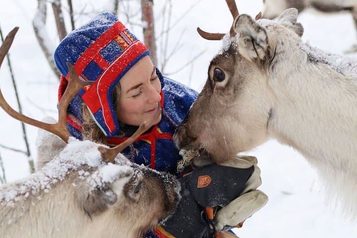 Full-Day Reindeer Tour with Pickup in Kiruna 2