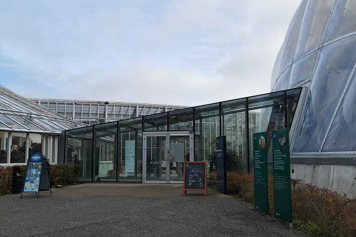 The Ancient Viking Stronghold of Aros: A Self-Guided Audio Tour in Aarhus 3