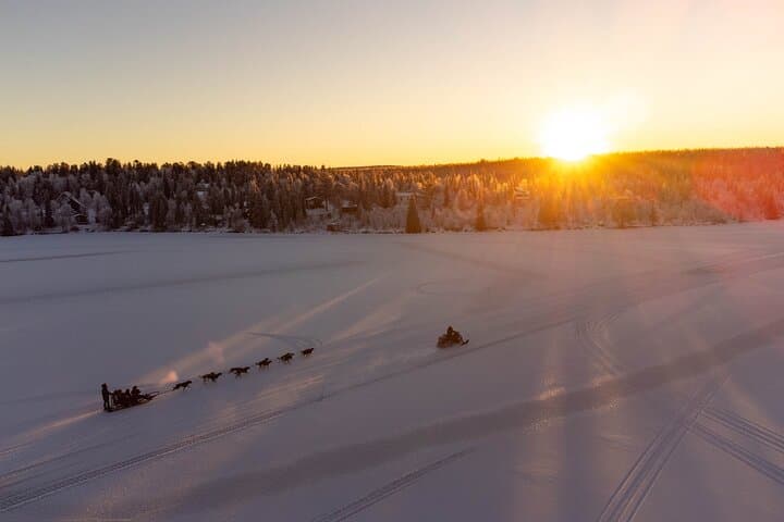 Sunrise Zen Husky Tour (10:00 to 13:00 - sitting on the sled) 2