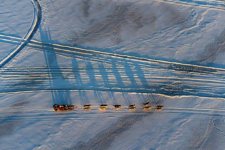 Sunrise Zen Husky Tour (10:00 to 13:00 - sitting on the sled) 3