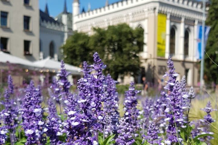 Riga Sightseeing Tour for First Time Visitors 5