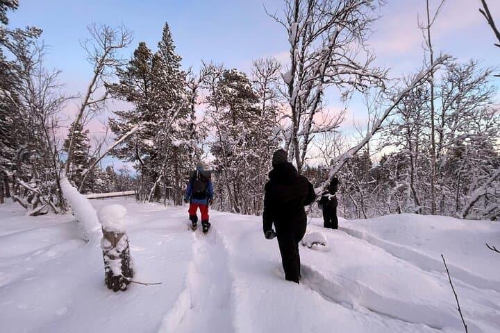 Snowshoe in a Winter Forest 5