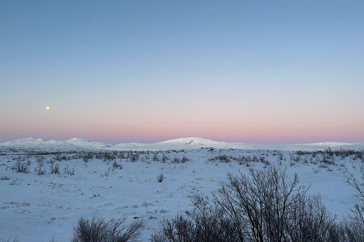 From Kiruna: Explore Abisko by Day 3