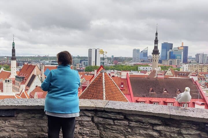 Beyond the Old Town -Tallinn's Hidden Gems by Car 2
