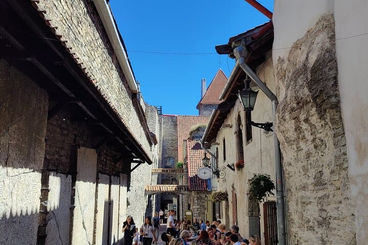 Beyond the Old Town -Tallinn's Hidden Gems by Car 4