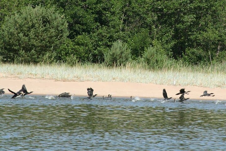 Untouched Sand Dunes - Guided canoe tour on UNESCO site 4
