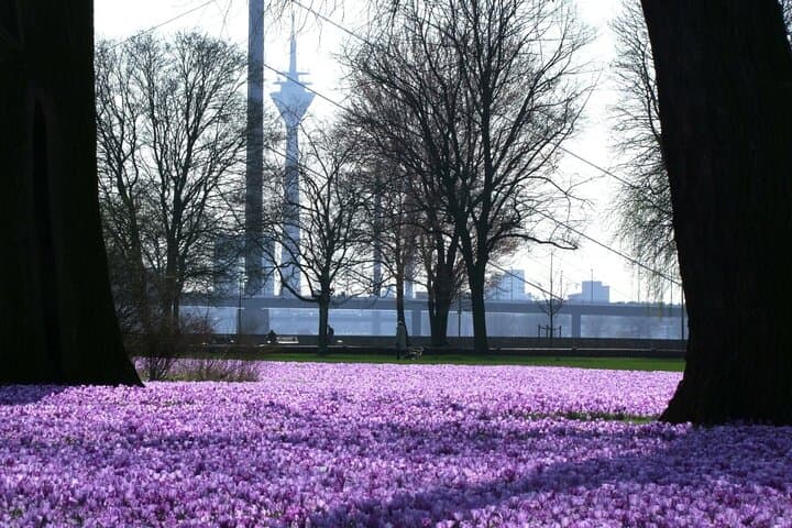 Sightrunning - Private Running Tour in Düsseldorf 5