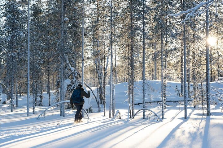 Ski Trek to the Wilderness - Extra Small group 3