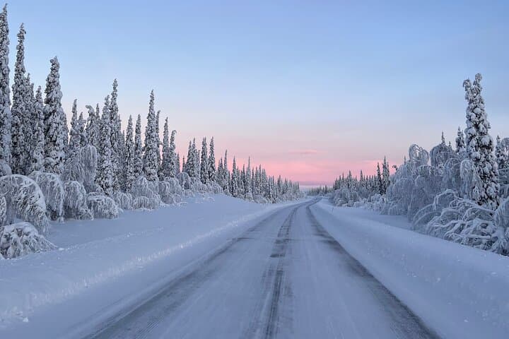 Full-Day Reindeer Tour with Pickup in Kiruna 5