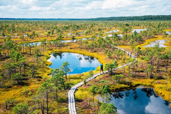 Private Full-Day Trip to Jurmala and Great Kemeri Bog Boardwalk 3