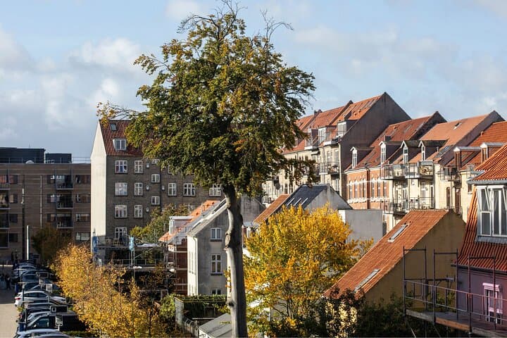 Aarhus Private Custom Walking Tour With A Guide 5