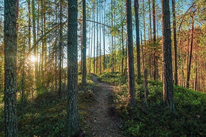 Arctic Wilderness Hike with Fire-making 2