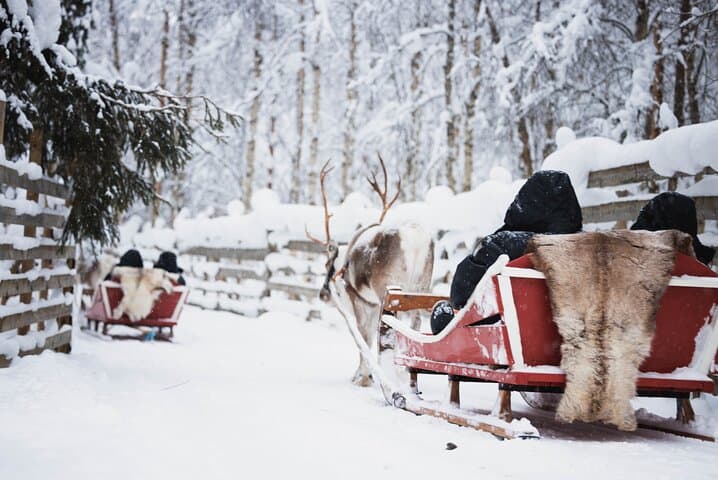Arctic Circle Highlights Family Day 4