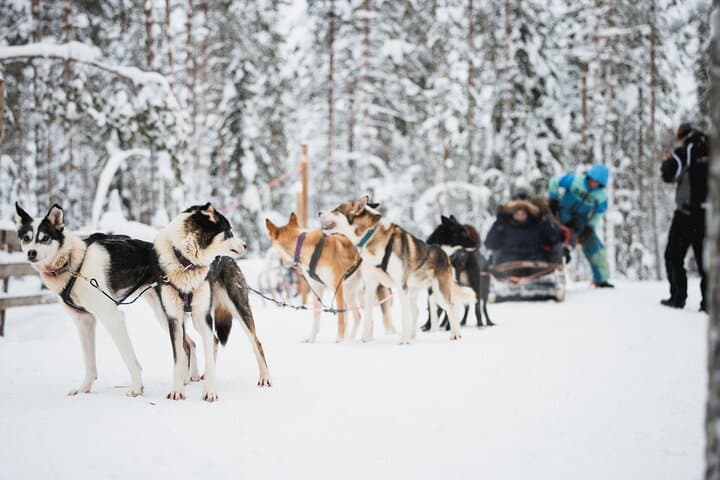 Arctic Circle Highlights Family Day 5