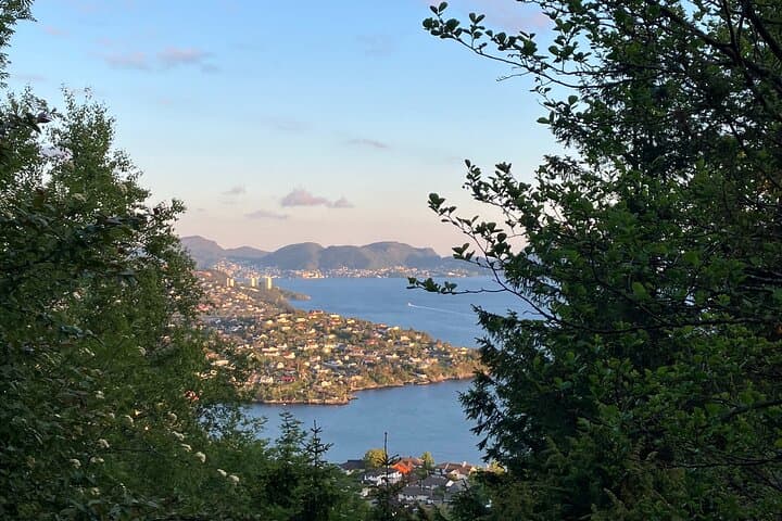 3-Hour Private Norwegian Hiking Experience with Local Guide 5