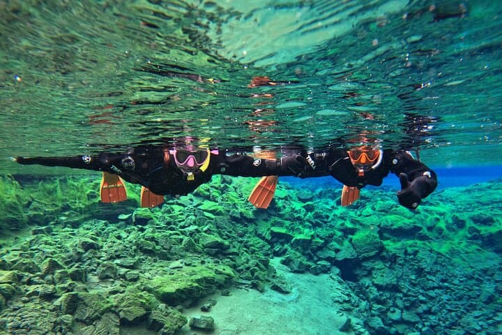 From Reykjavik- Silfra Snorkeling transfer included