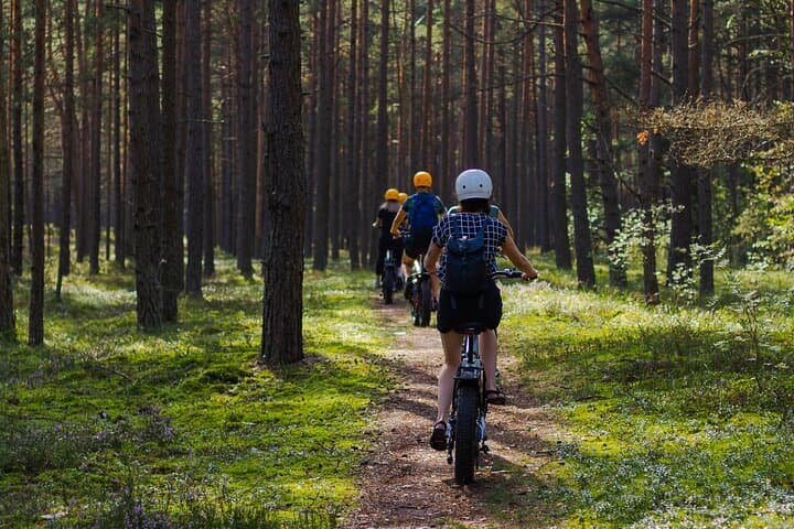 Guided Ebike Tour on Forest Roads and Trails Near Riga 3