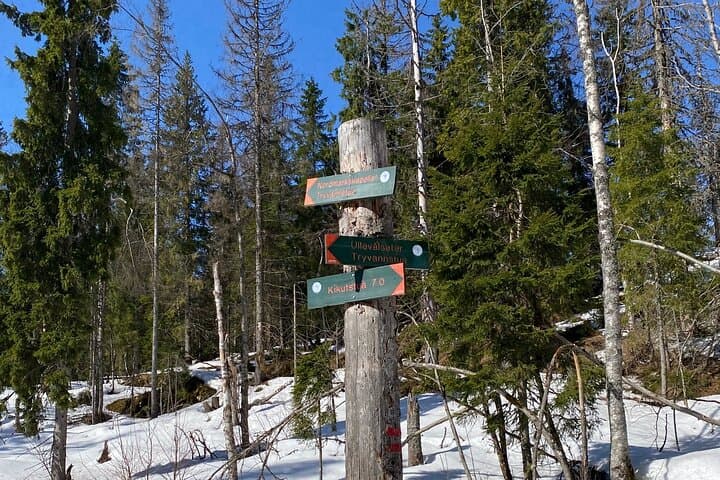 Top of Oslo Snowshoe Tour 4
