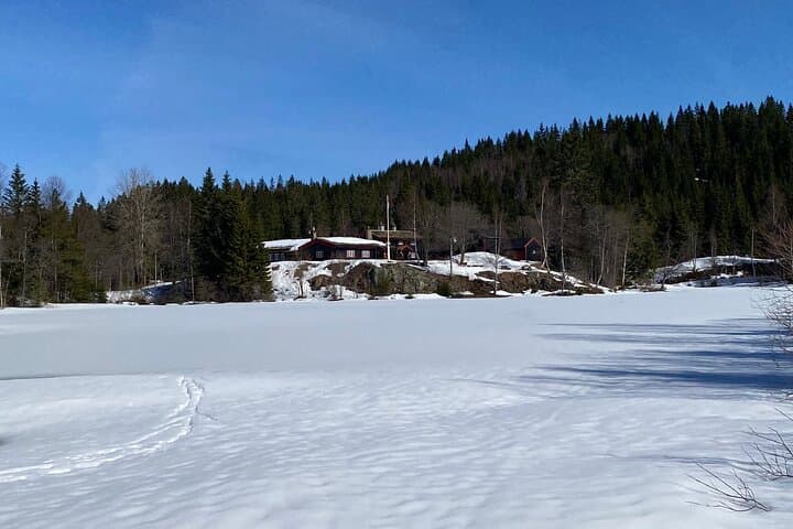 Top of Oslo Snowshoe Tour 5