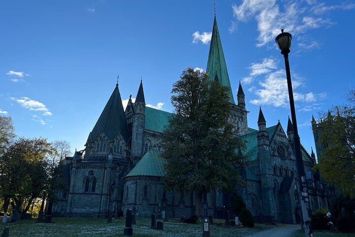 Half-Day Highlights of Trondheim by Bus and City Walk 2