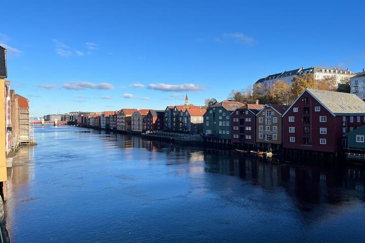 Half-Day Highlights of Trondheim by Bus and City Walk 3