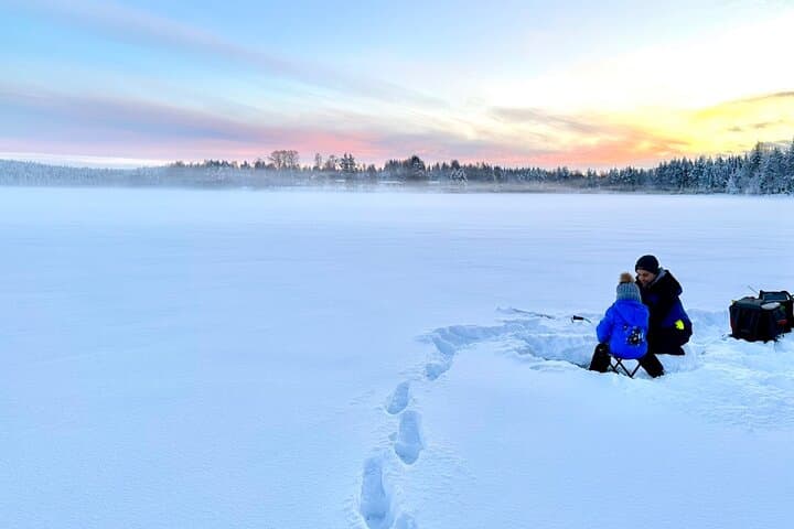 Full Day Activity with Snowmobiles in Rovaniemi 4