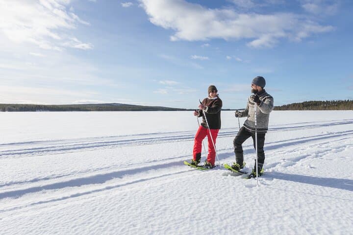 Full Day Activity with Snowmobiles in Rovaniemi 2