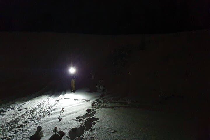 Nocturnal Skiing: Experience the Arctic's Magic 5