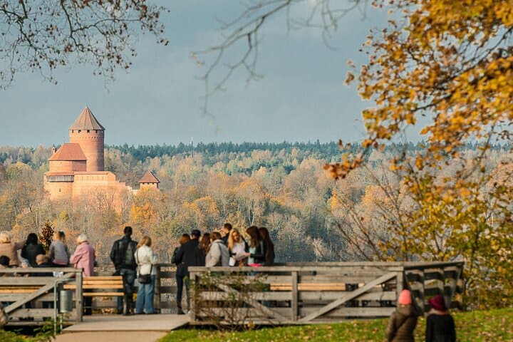 Day trip to Gauja National Park: animals, castles and a cave 5