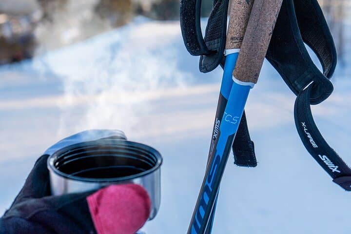 Learn Nordic Skiing - Private Class with Professional Instructor 5