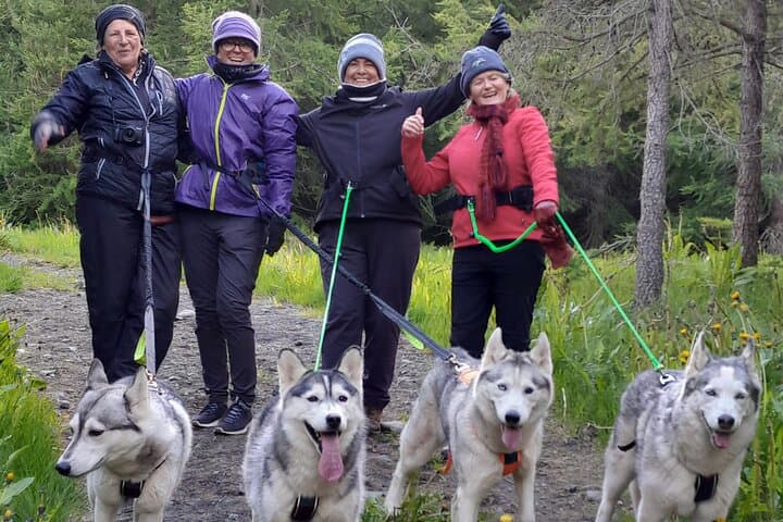 Hiking with Husky in Akureyri 2