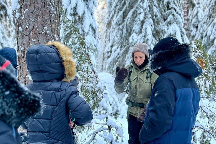 Winter Wonderland Hike in a National Park 3