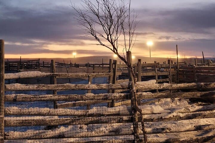 Sami day tour adventure 5