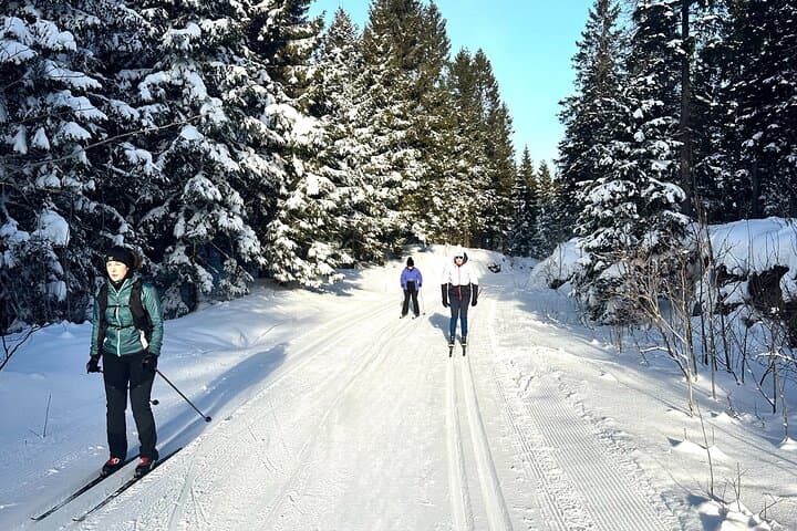 Learn Nordic Skiing - Private Class with Professional Instructor 2