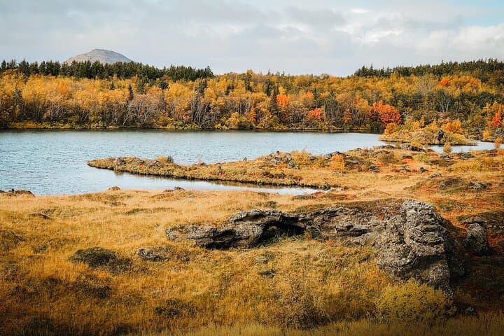 Private Shore Excursion in Godafoss Waterfall Myvatn and Baths 5