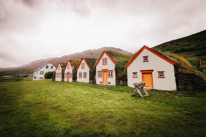 Cruise Tour Godafoss Turf Houses and Forest Baths Small Group 4
