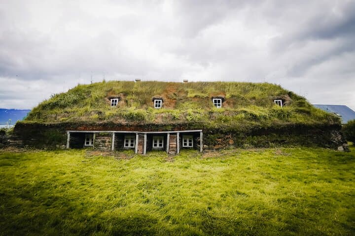 Cruise Tour Godafoss Turf Houses and Forest Baths Small Group 5