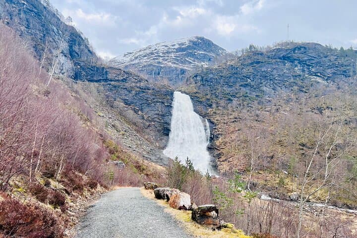 Private Guided Tour of Bergen and the Best of Norwegian Fjords 5