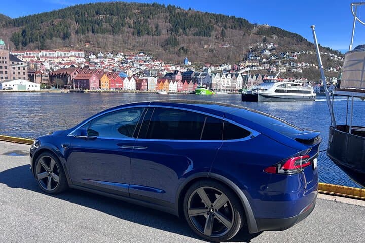 Private Guided Tour of Bergen and the Best of Norwegian Fjords