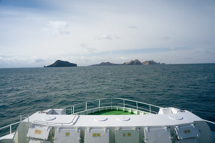 Vestmannaeyjar, Puffins & Volcanoes Small Group Day Tour 5