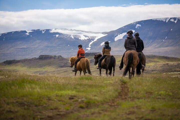 The Viking Horse Riding Experience in North Iceland 2