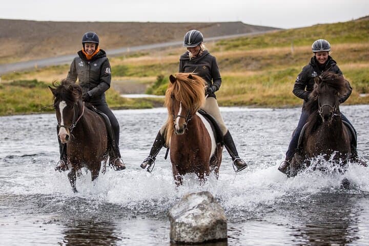 The Viking Horse Riding Experience in North Iceland 3