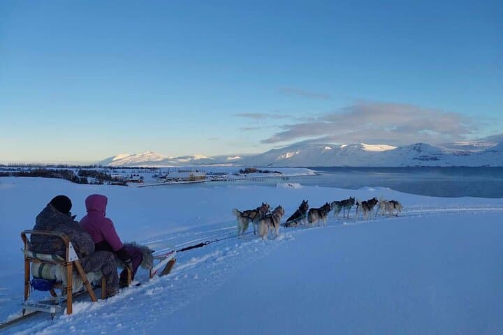 Dog Sledding Tour near Akureyri 2