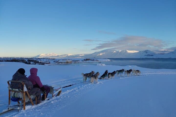 Private Dog Sledding in Akureyri